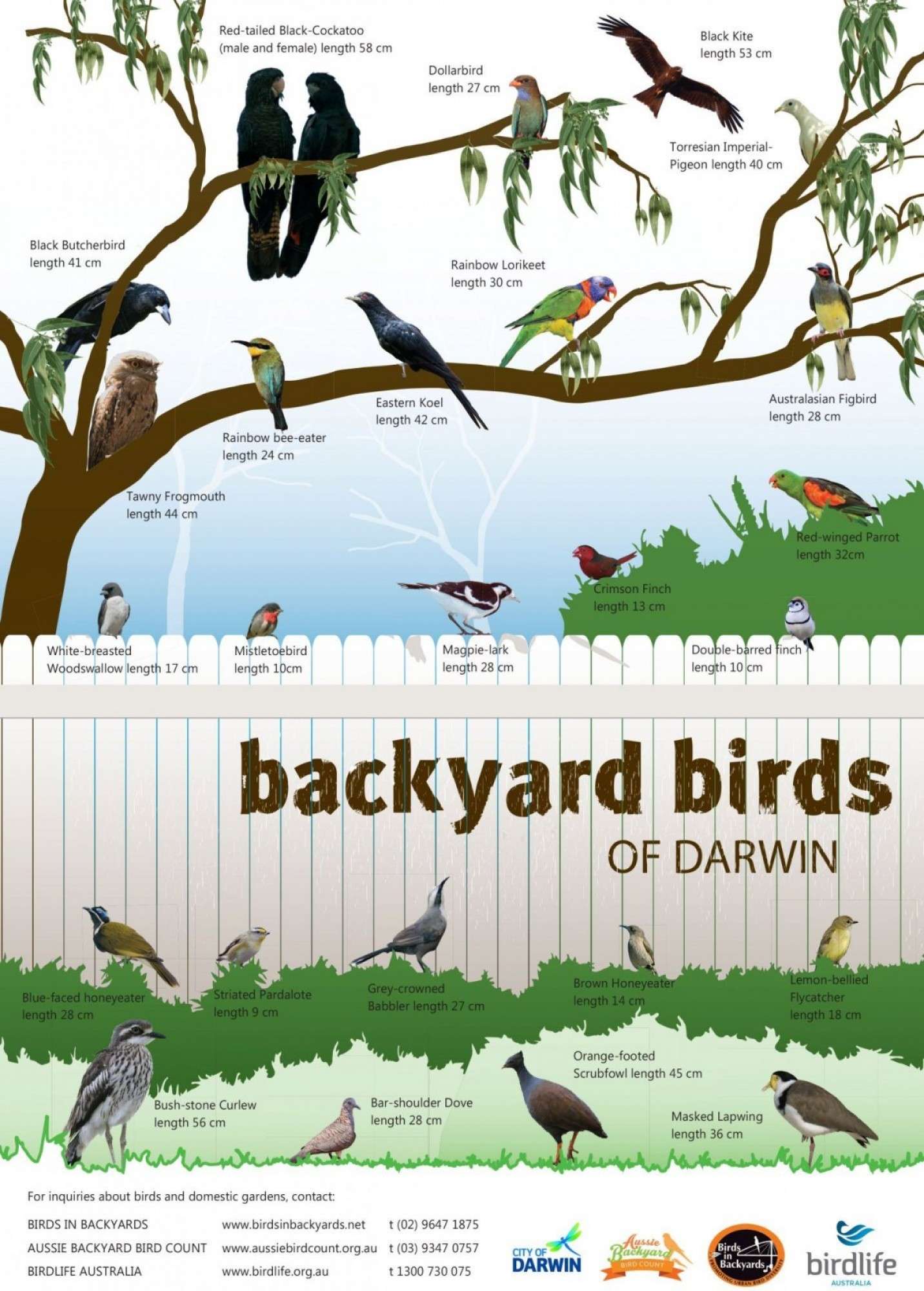 Biodiversity City of Darwin Darwin Council, Northern Territory